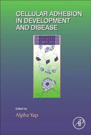 Cellular Adhesion in Development and Disease