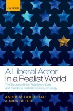 Liberal Actor in a Realist World