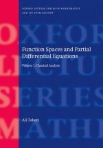 Function Spaces and Partial Differential Equations