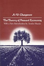Theory of Peasant Economy