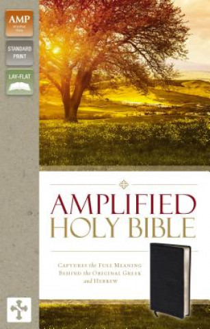 Amplified Holy Bible, Bonded Leather, Black