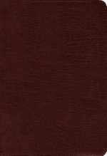 Amplified Holy Bible, Bonded Leather, Burgundy