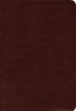 Amplified Holy Bible, Bonded Leather, Burgundy