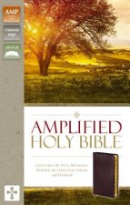 Amplified Holy Bible, Bonded Leather, Burgundy, Thumb Indexed