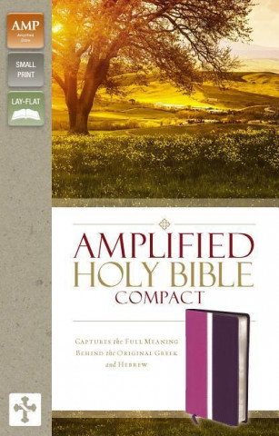 Amplified Holy Bible, Compact, Leathersoft, Pink/Purple