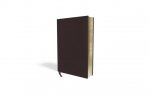 Amplified Holy Bible, Large Print, Bonded Leather, Burgundy