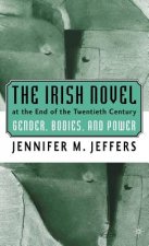 Irish Novel at the End of the Twentieth Century