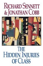 Hidden Injuries of Class