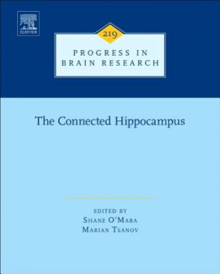 Connected Hippocampus