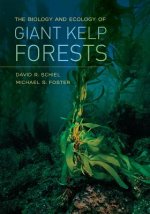 Biology and Ecology of Giant Kelp Forests