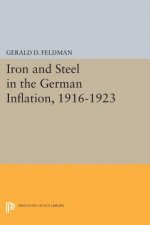 Iron and Steel in the German Inflation, 1916-1923