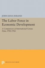Labor Force in Economic Development
