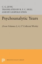 Psychoanalytic Years