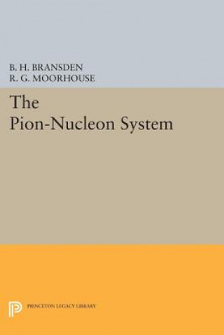 Pion-Nucleon System