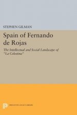 Spain of Fernando de Rojas