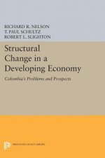Structural Change in a Developing Economy