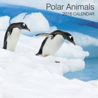 Polar Animals 2016 Calendar