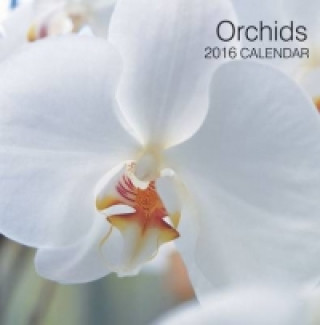 Orchids 2016 Calendar