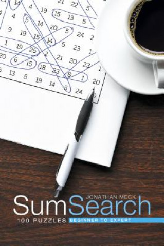Sum Search: 100 Puzzles Beginner to Expert
