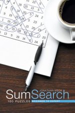 Sum Search: 100 Puzzles Beginner to Expert