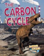 Carbon Cycle