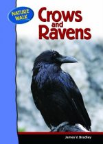 Ravens and Crows