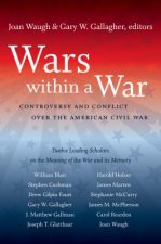 Wars within a War
