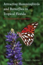 Attracting Hummingbirds and Butterflies in Tropical Florida