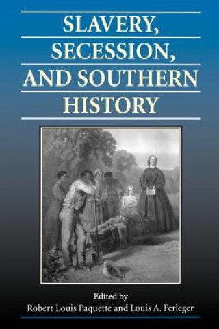Slavery, Secession and Southern History