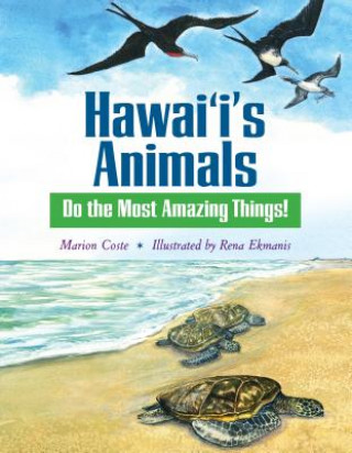 Hawaii's Animals Do the Most Amazing Things