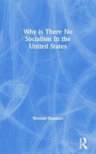Why is There No Socialism In the United States