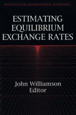 Estimating Equilibrium Exchange Rates