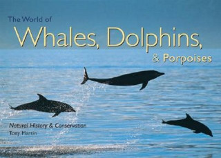 World of Whales, Dolphins & Porpoises
