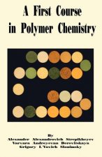 First Course in Polymer Chemistry