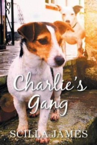 Charlie's Gang