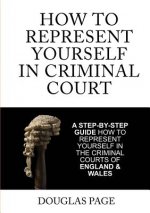 How to Represent Yourself in Criminal Court