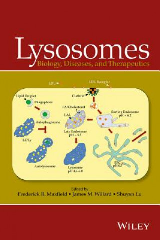Lysosomes - Biology, Diseases, and Therapeutics