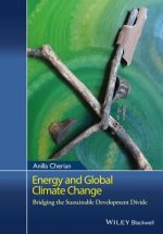 Energy and Global Climate Change - Bridging the Sustainable Development Divide