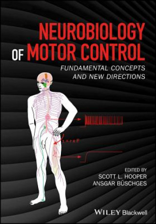 Neurobiology of Motor Control - Fundamental Concepts and New Directions
