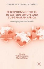 Perceptions of the EU in Eastern Europe and Sub-Saharan Africa