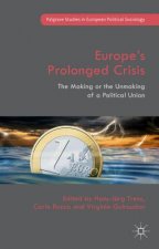 Europe's Prolonged Crisis