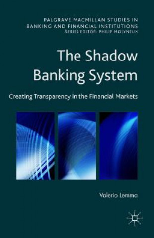 Shadow Banking System