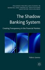 Shadow Banking System