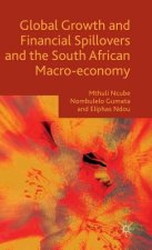 Global Growth and Financial Spillovers and the South African Macro-economy