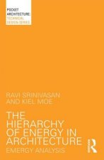 Hierarchy of Energy in Architecture