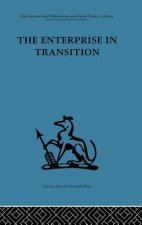 Enterprise in Transition