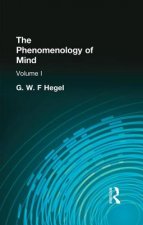 Phenomenology of Mind