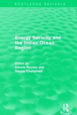Energy Security and the Indian Ocean Region