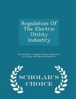 Regulation of the Electric Utility Industry - Scholar's Choice Edition
