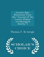 Ancient Naas. [Extracted from the Journal of the County Kildare Archaeological Society.] - Scholar's Choice Edition